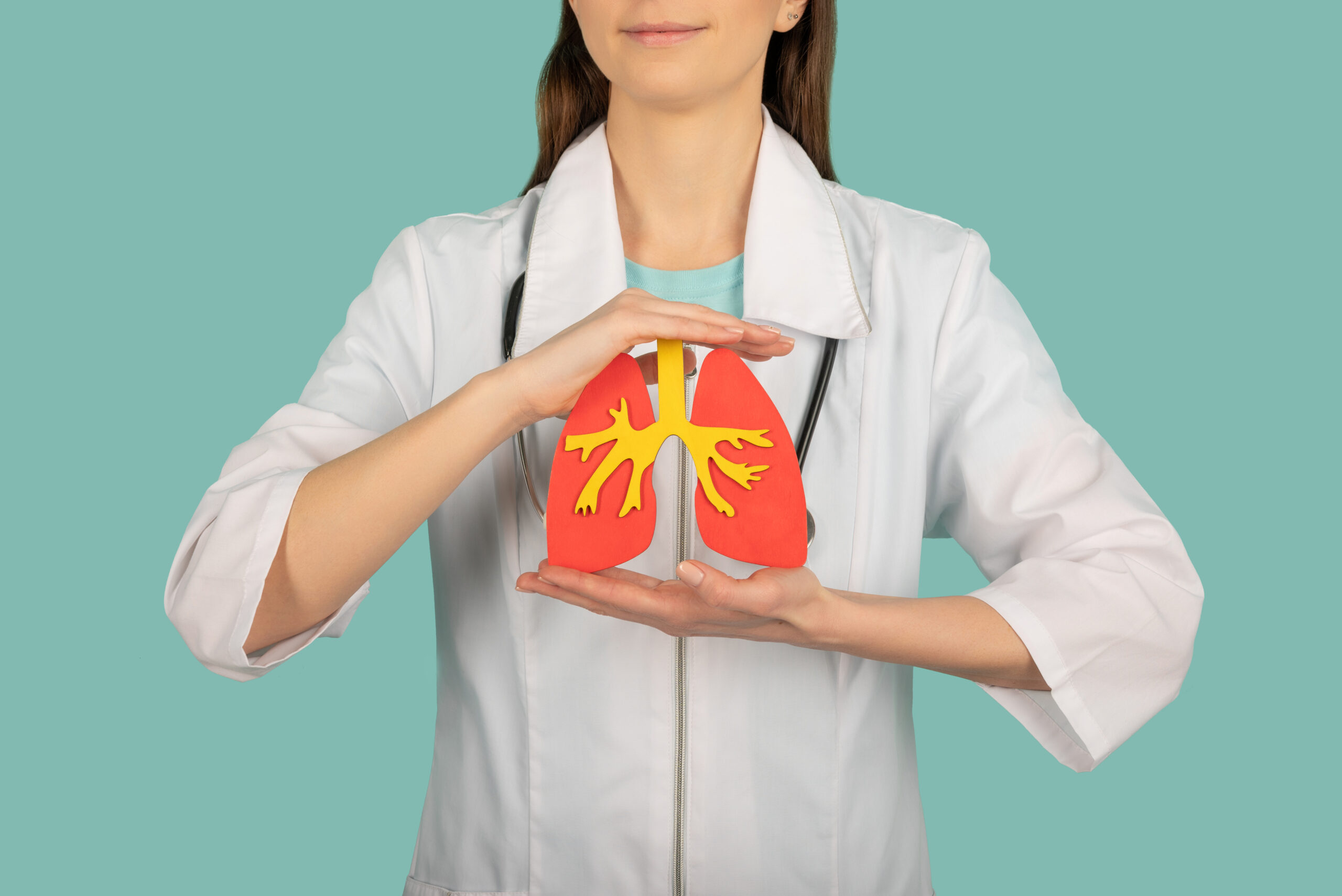 Female doctor with a stethoscope is holding mockup lungs. Help and care concept